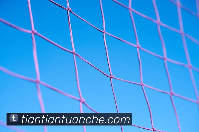 开云app官方版web站入口 - 开云online(中国)APP 封面图